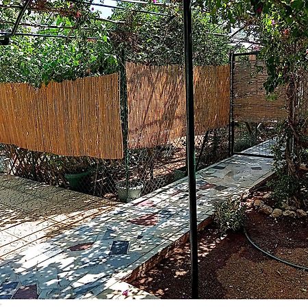 Ambelakia Εξοχικό Mariaヴィラ エクステリア 写真