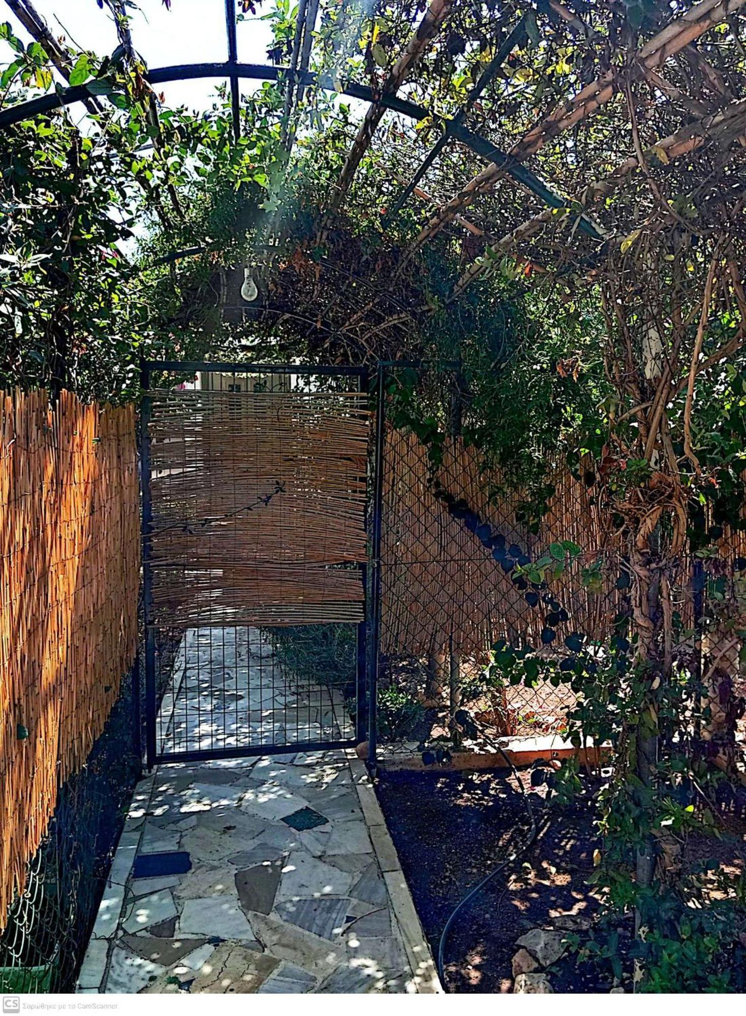 Ambelakia Εξοχικό Mariaヴィラ エクステリア 写真